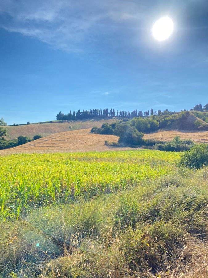 Agriturismo I Moricci Peccioli Eksteriør bilde