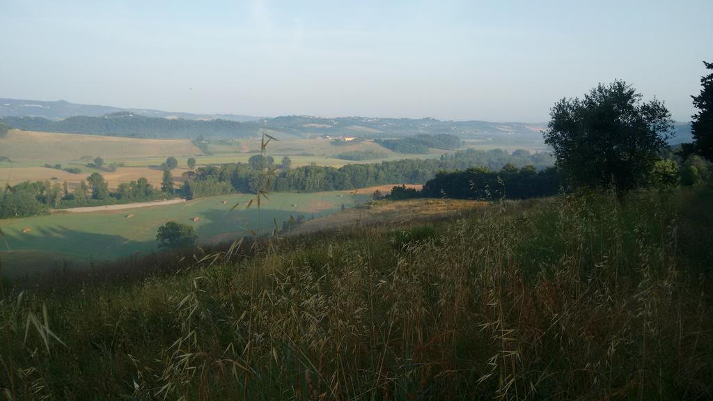 Agriturismo I Moricci Peccioli Eksteriør bilde