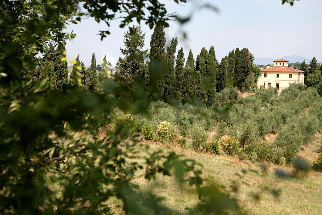 Agriturismo I Moricci Peccioli Eksteriør bilde